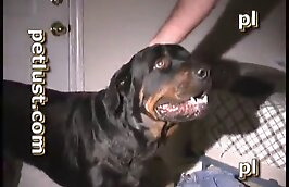 free zoophilia porn,zoo porn