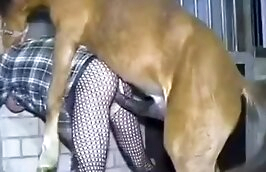 horse sex,beast fucking