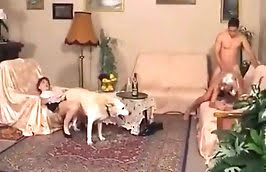 freaky zoophiles,sex with animals